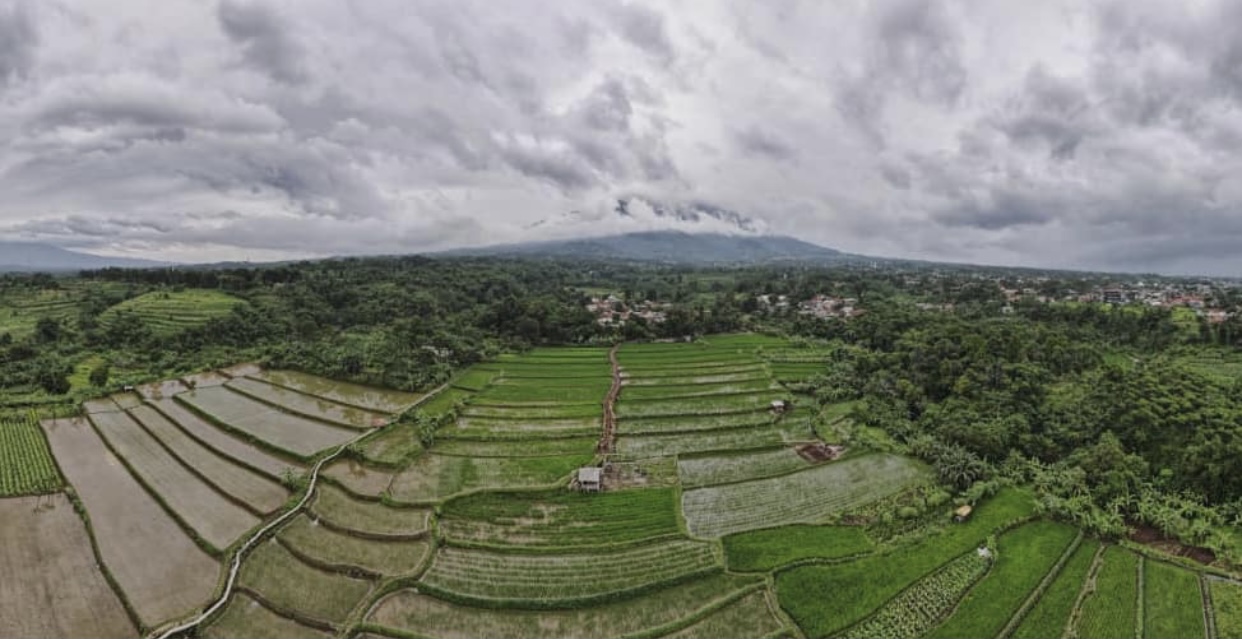 Wisata Alam di Bogor: Kampung Tematik Mulyaharja