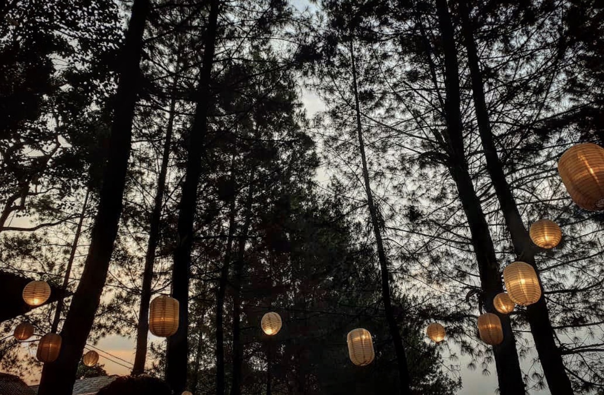 Kopi Daong, Sensasi Menikmati Kopi di Tengah Hutan Pinus